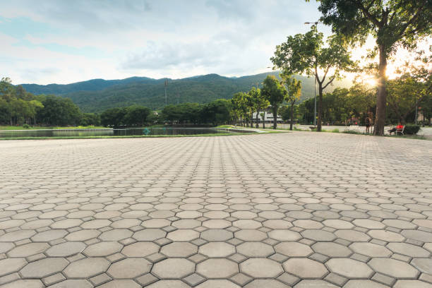 Best Professional Driveway Pavers  in Clayco, MO